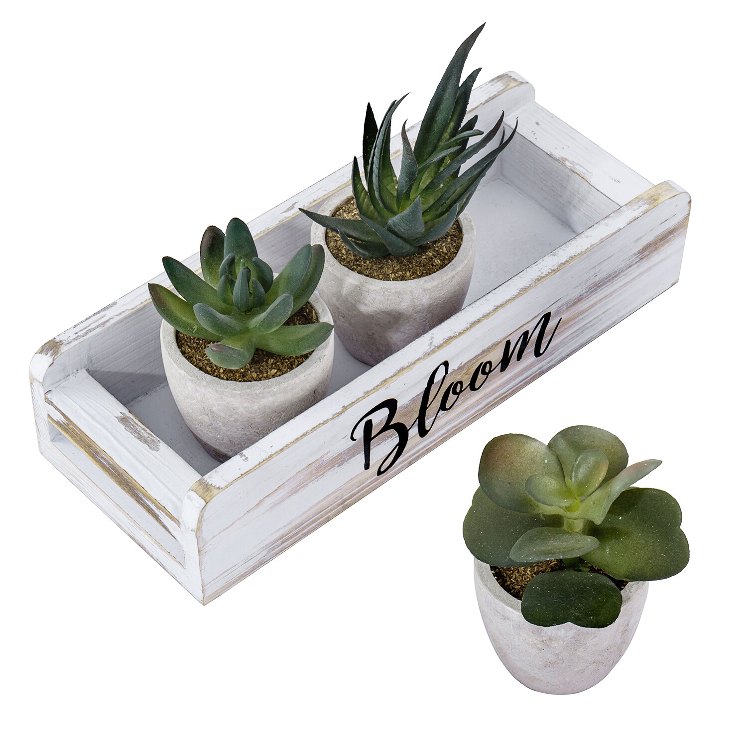 Assorted Artificial Succulents in Concrete Planters & Whitewashed Wood