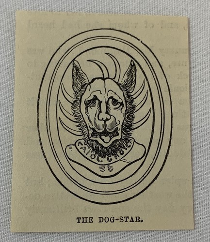 1882 small magazine engraving ~ DOG-STAR Egypt