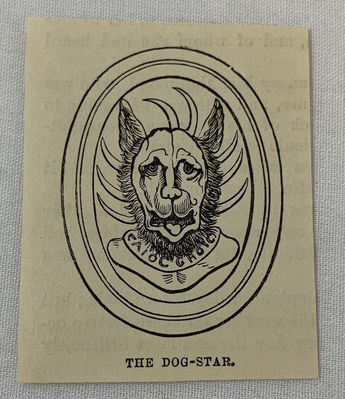 1882 small magazine engraving ~ DOG-STAR Egypt