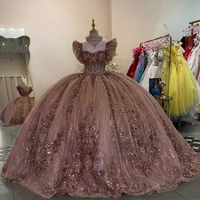 Elegant Glitter Tulle Quinceanera Dresses Ball Gown Lace up Sleeveless Applique