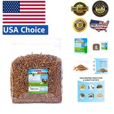High Protein Chicken Feed: Dried Black Soldier Fly Larvae for All Life Stages