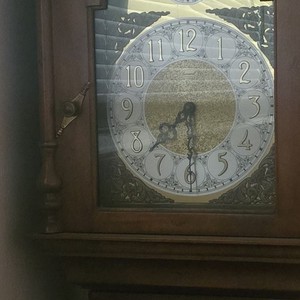 Tempus Fugit Longcase/Grandfather Clock, Brown, Arabic Numerals