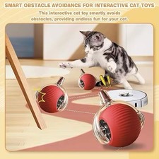 Interactive LED Rolling Ball Cat Toy Rechargeable  PINK YELLOW GRAY GREEN BLUE