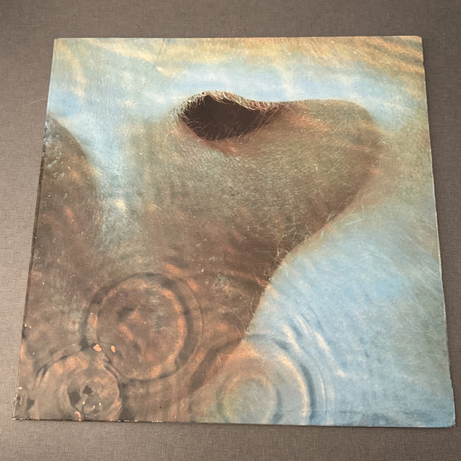 Vinyle 33 T 33 Tours Pink Floyd SHVL795