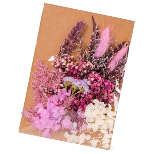  Matériau fleurs séchées pour ongles conservé frais à faire soi-même manuel d'accessoires - Photo 1/12