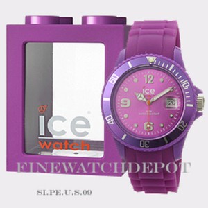 ice watch cost