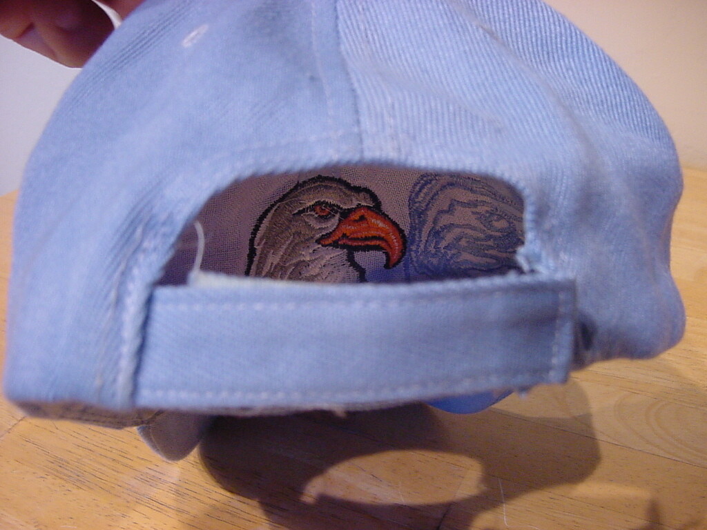 AMERICAN EAGLE USA ADJUSTABLE HAT - image 4