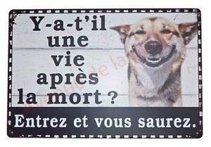 Plaque Attention Au Chien Y A T Il Une Vie Apres La Mort Neuf Ebay