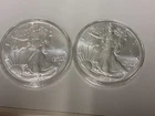 2024(W) + 2025(W) America Silver Eagles - Raw BU - In Capsule - SILVER GOIN UP