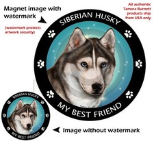 Siberian Husky My Best Friend Dog Car Magnet