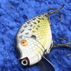 Vintage Heddon Punkinseed Spook Surface/Transition ￼Hardware  Coach Dog Ex Con — photo 9
