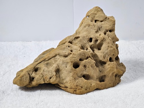 Large Natural Sandstone Aquarium Rock 11” Aquascape Cichlid Cave 7.5lb