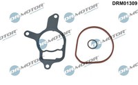 Dr.Motor Automotive DRM01309 Dichtungssatz, Unterdruckpumpe FüR Audi Cupra VW