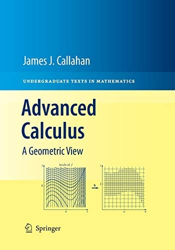 Springer Green Advanced Calculus - Image 2