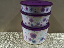 Nuevo Tupperware ÚNICO Dientes de León Tema Ilumina StacknStore Set 3 Cuencos