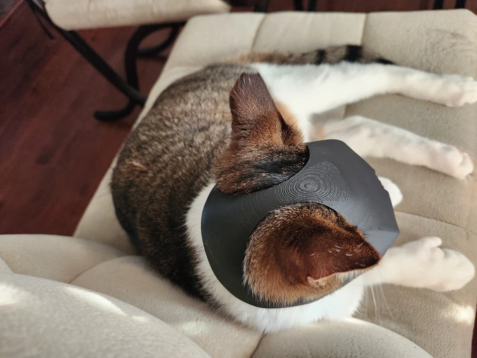 Viral 3D Printed Cat Mask - Batman/Devil Pet Cosplay from TikTok (Custom Colors) - Image 3 of 4