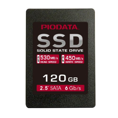 PioData SSD 120GB Internal Solid State Drive SATA III 6 Gb/s, 2.5'' PIO120S325-R