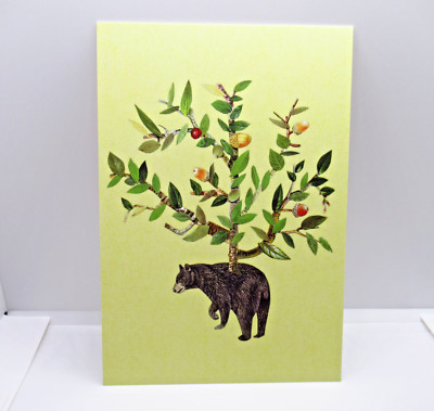 Art Postcard Bear Tree Ben Giles Animal Box Unused 2014 Princeton Press