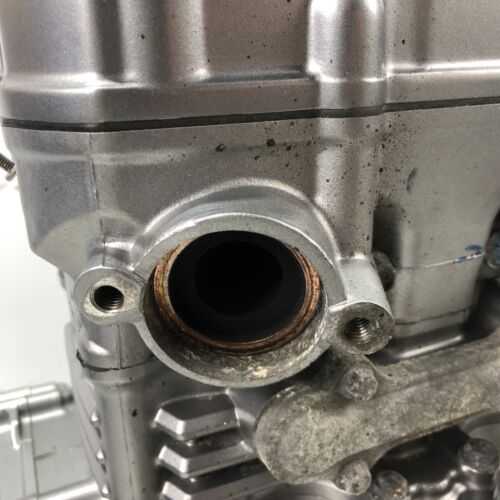 ♻️ Suzuki Gw 250 Inazuma ZL4 2013 - 2018 Engine With Warranty J508 ♻️ - Picture 9 of 24
