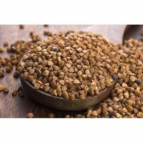 Indian Fasting Food BUCKWHEAT SEEDS Kuttu Giri Whole FREE SHIP - Image 2 of 3