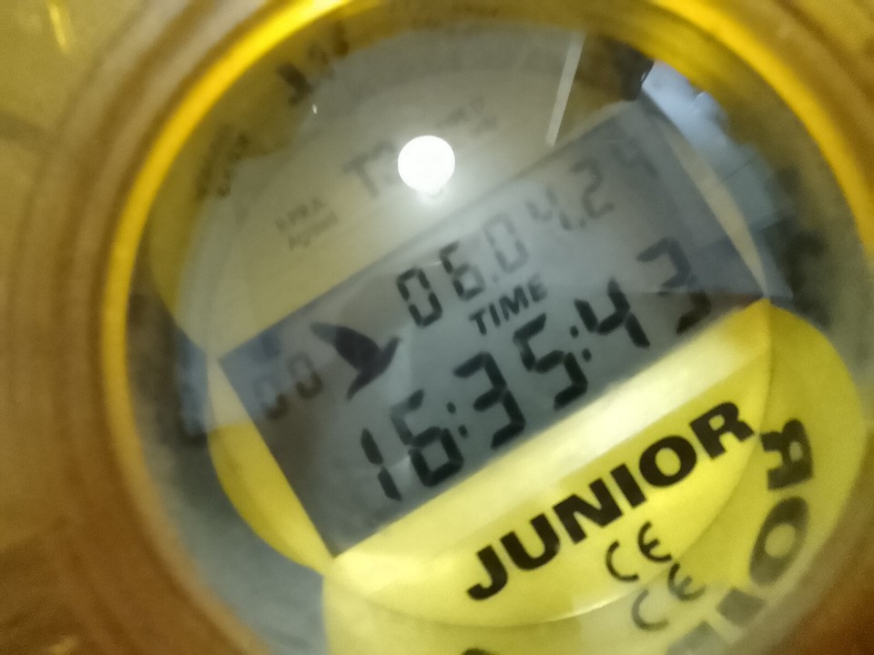 Junior T3 Racing Pigeon Clock eBay