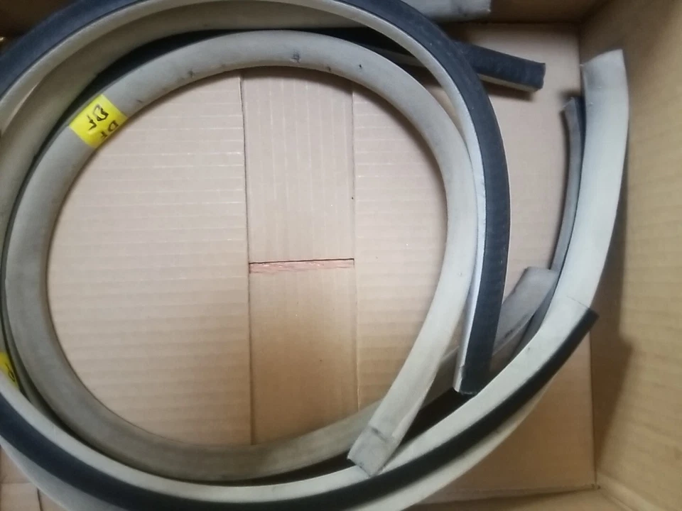 Moldura de techo para un Oldsmobile Aurora 1999 con clips Foto 2 de 2