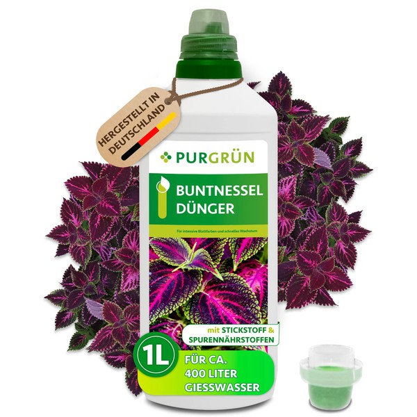 PurgrüN Buntnessel DüNger, Npk 7+3+6, BlattfäRbung, 1L-image
