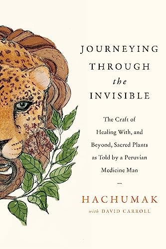Journeying Through the Invisible: The craft by HachumakDavid Carroll (PB 2022) - Image 5