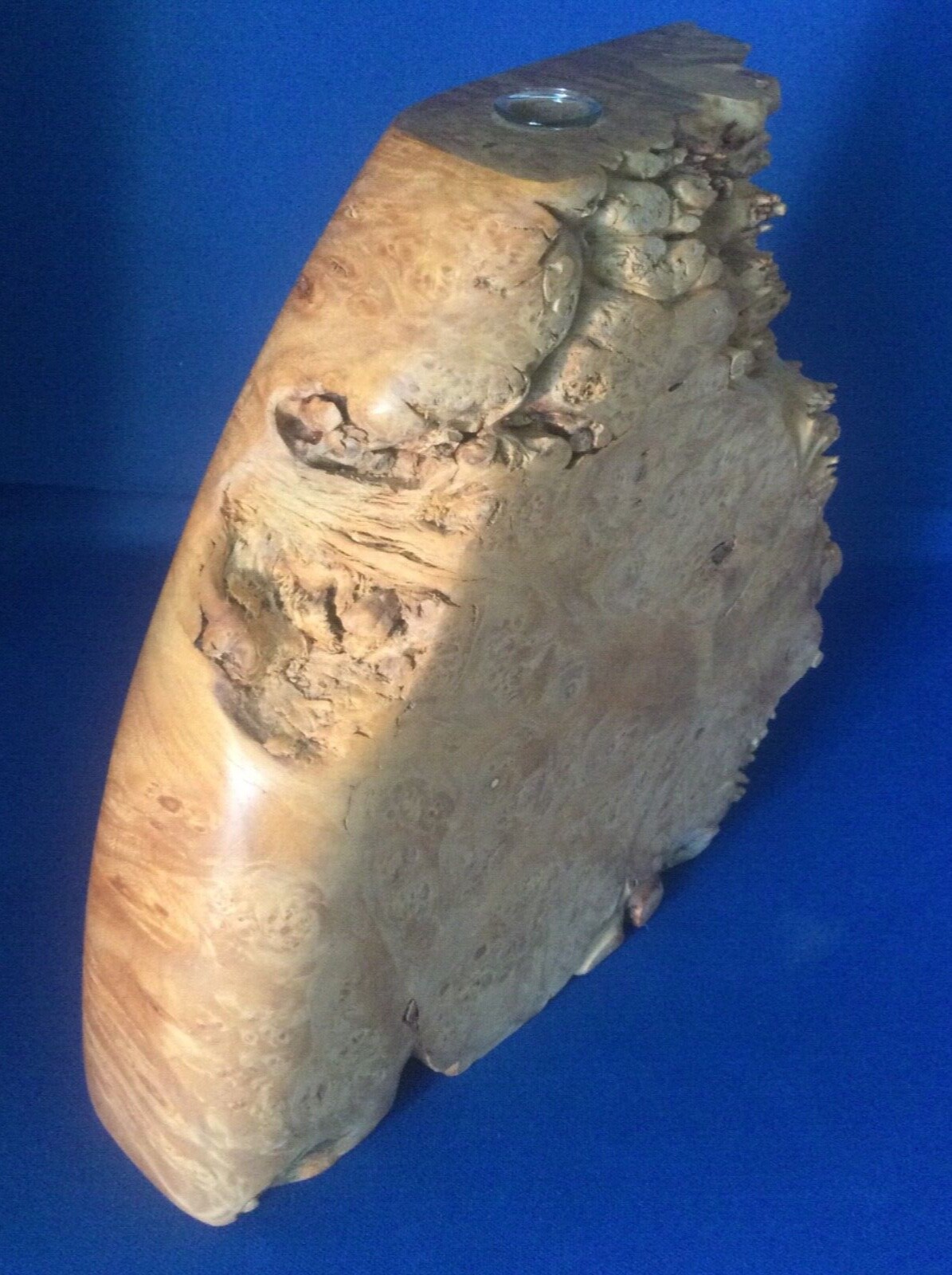 MAPLE LEAF STUDIO Oregon Maple Burl Vase Sculpture 9 1/4” Wide X 6 13/ ...