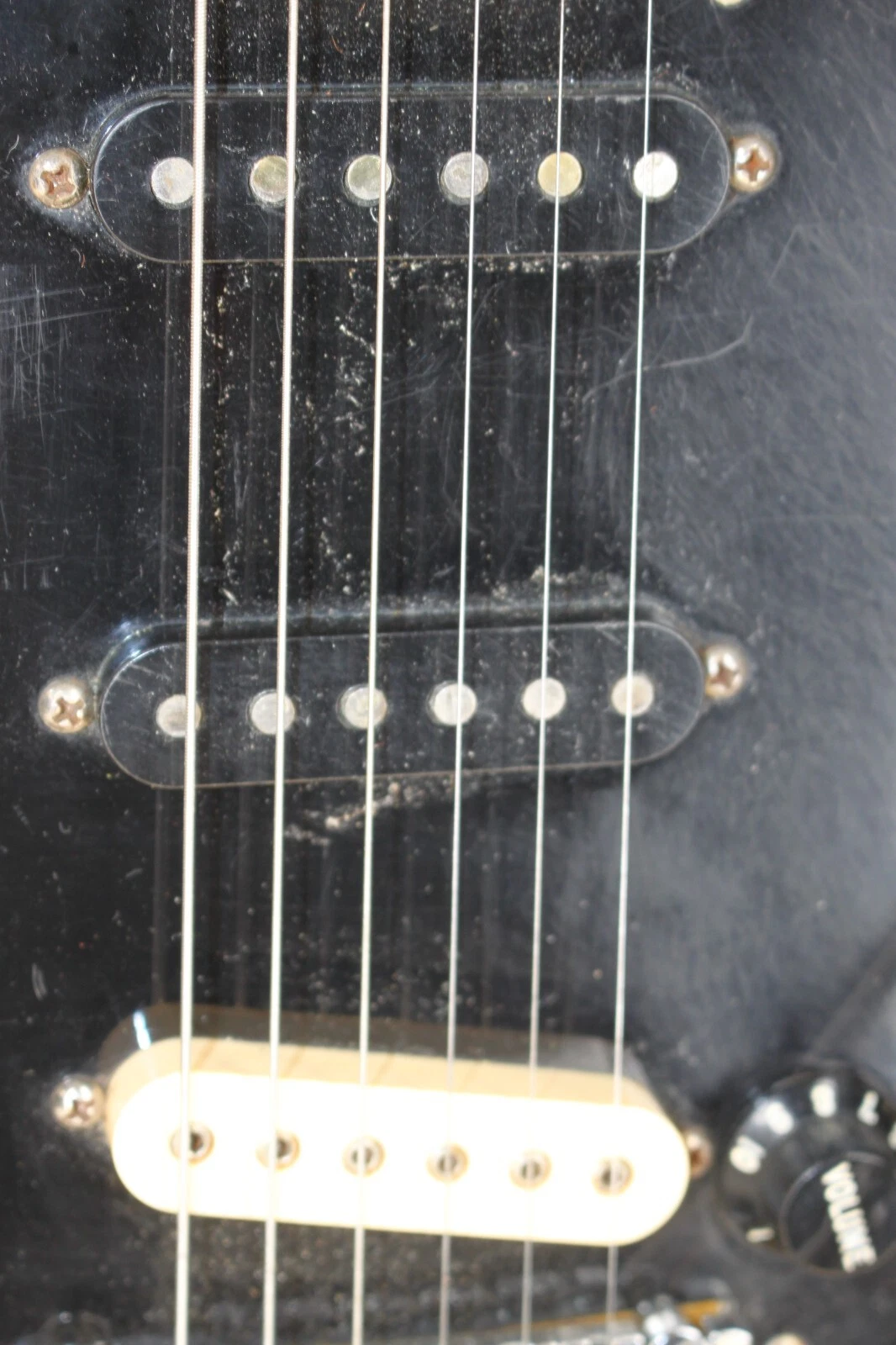 Picture 5 of 21