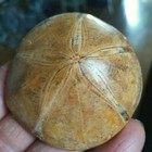 Foto 4 di 12
