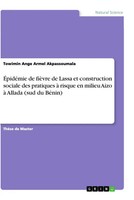 Towimin Ange Armel Akpassoumala | ÉPidéMie De FièVre De Lassa Et Construction...