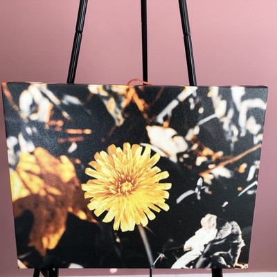 Amazing Flower Art