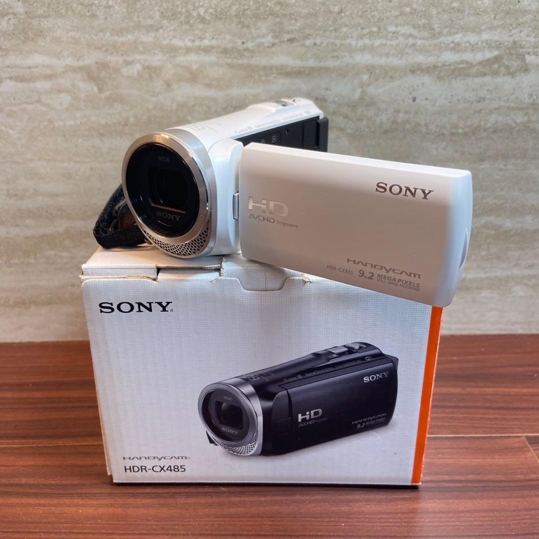 SONY HDR-CX485 Camcorder 5637 From Japan | eBay