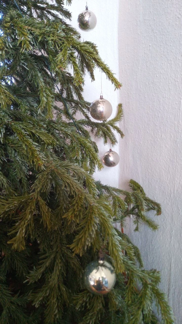 Bild 6 von 6