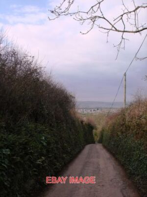PHOTO  LANE DOWN SOUTHDOWN HILL HIGHER BRIXHAM THE HIGH HEDGEROWS AND NARROW LAN