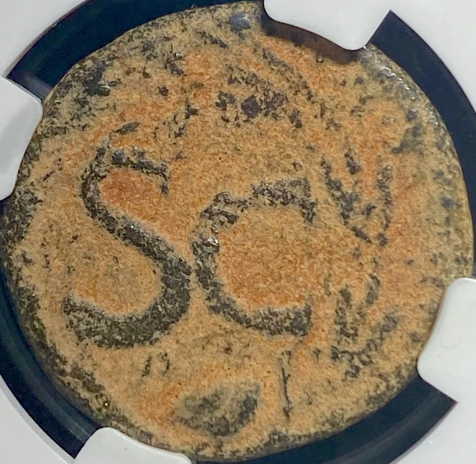 Emperador romano Claudio I 41 dC-54 dC Antigua Antioquía NGC moneda genuina certificada como Foto 3 de 4