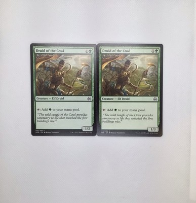 2x Druid Of The Cowl MTG Aether Revolt 106/184
