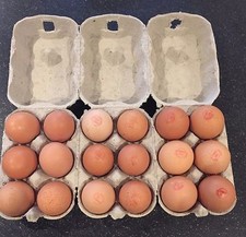 50 1/2 DOZEN NEW GREY EGG BOXES/CARTONS SUITS POULTRY MEDIUM/LARGE CHICKEN  EGGS