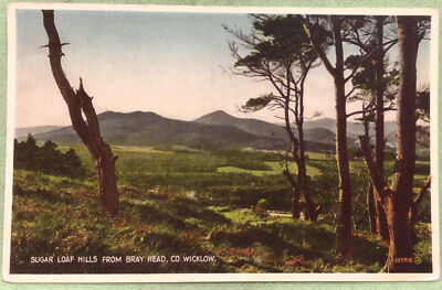 Bray Wicklow Sugar Loaf Hills Vintage Postcard