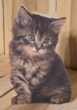 Vintage Tiger Kitten Cat UNUSED Birthday Card