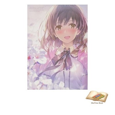 Book How to Raise a Boring Girlfriend: Misaki Kurehito Art Used