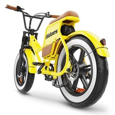 NEW 20in Fat Tire Electric Bike,Hidoes C8 E-bike 48V 17AH E-City Bicycle Adults