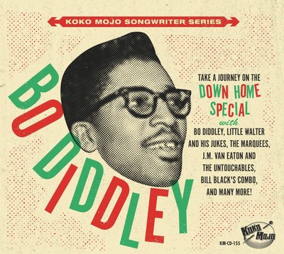 Various Bo Diddley - Take A Journey On The Down Home Special (CD)