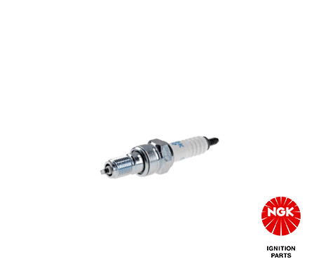 Spark Plug NGK 5666