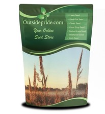 Perennial Andropogon Big Bluestem Grass - 1 lb. Warm Season, Drought Resistan... 50.13 per gallon