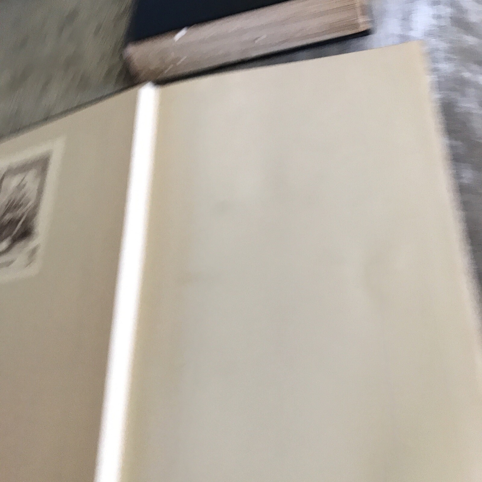 Picture 10 of 16