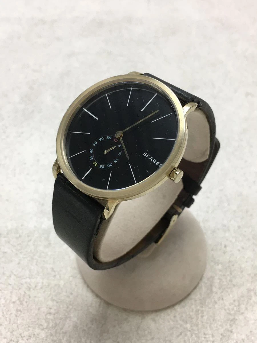 Skagen skw6217 top