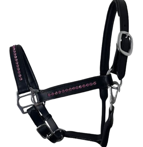tigerbox Licol pour cheval en nylon avec tête rembourrée et muserolle