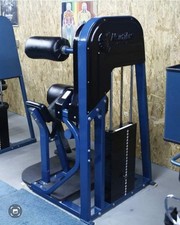 FLAWLESS BLUE NAUTILUS LOWER BACK MACHINE Low...